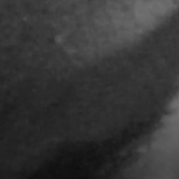 Meet your Posher, Ariana - Picture 1 of 1